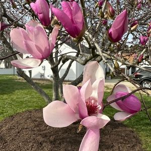 Meet your Posher, Lucy